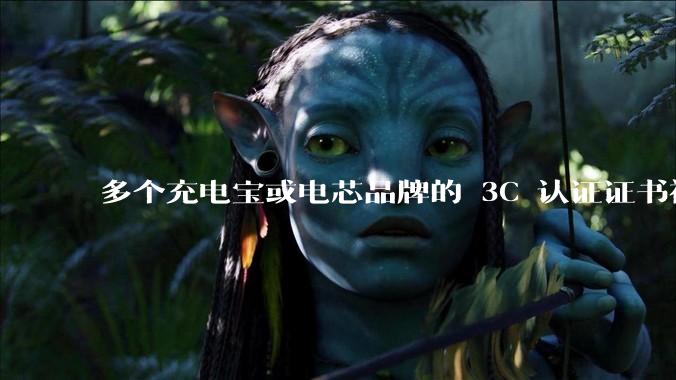 多个充电宝或电芯品牌的 3C 认证证书被暂停，涉及罗马仕、安克、绿联、倍思、安普瑞斯等，发生了什么？