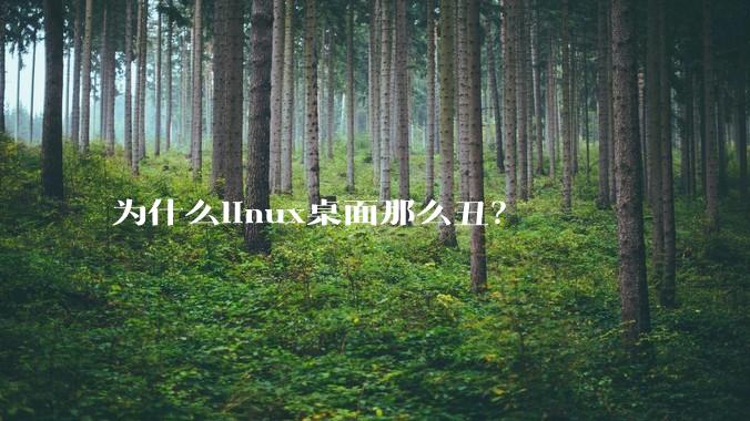 为什么linux桌面那么丑？